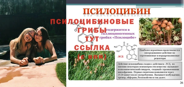 тгк Аркадак