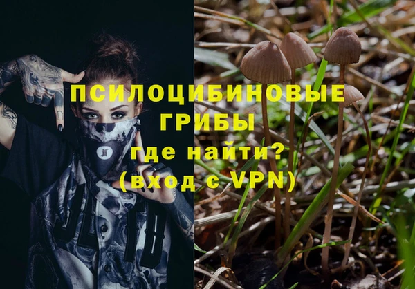 винт Алексеевка