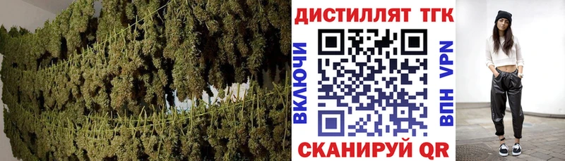 ТГК концентрат Александровск
